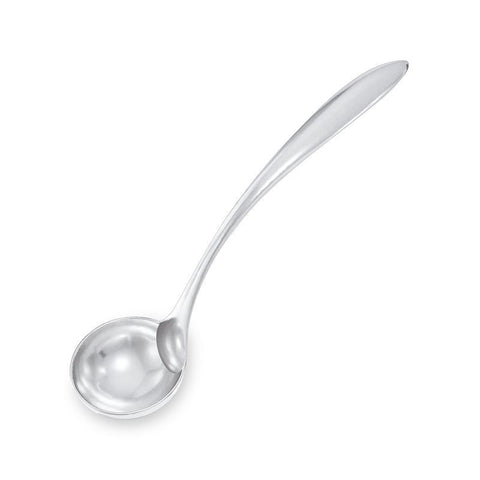 Stainless Steel Serving Ladle
