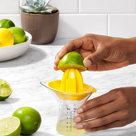 Small Citrus Juicer