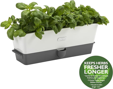 Self Watering Herb Keeper - Triple