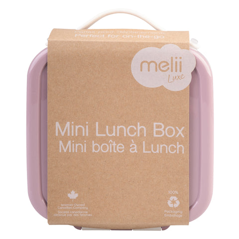 Mini Lunch Box