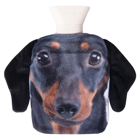 Pet Hotty - Cats & Dogs