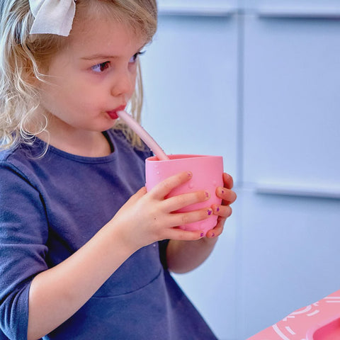 Silicone Straws & Brush Set