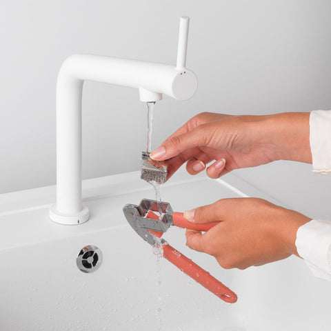 Brabantia Garlic Press