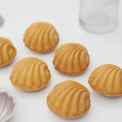 Mini Madeleine Shell 7.4cm - Set of 4