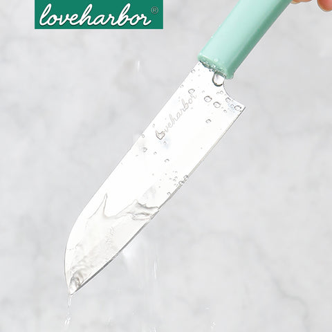 Loveharbor Fruit Knife