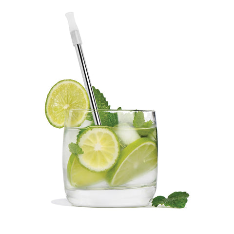 Stainless Steel Cocktail Straws with Cleaning Brush - Set of 6