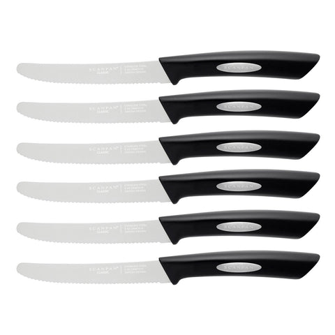 Classic 6 Piece Steak Knife Set