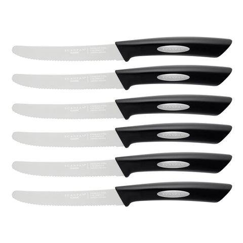 Classic 6 Piece Steak Knife Set