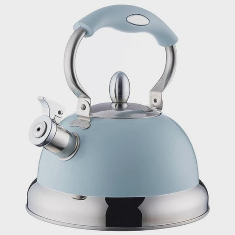 Living Stove Top Kettle