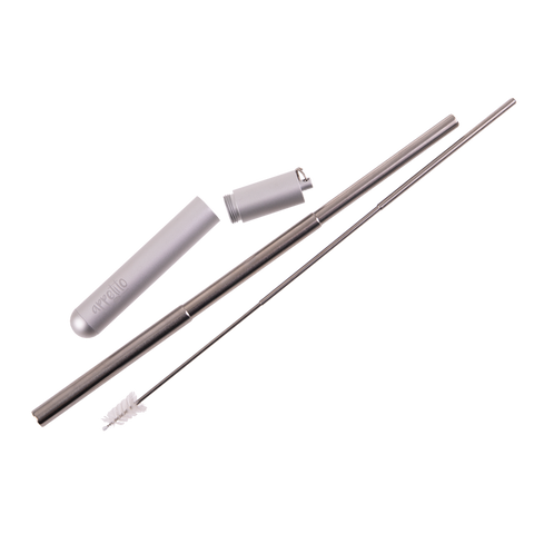 Stainless Steel Travel Straw Set - 4 Assorted Colors