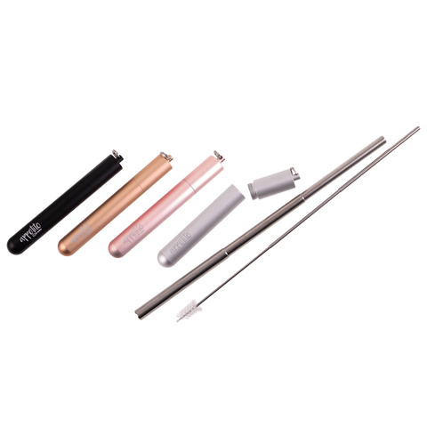 Stainless Steel Travel Straw Set - 4 Assorted Colors