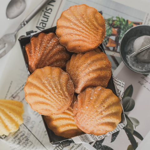 Mini Madeleine Shell 7.4cm - Set of 4