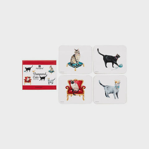 Pampered Cats 4 Pack Coaster