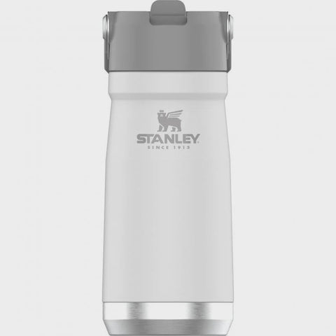 The Iceflow Flip Straw Water Bottle