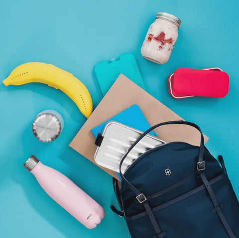 Gel Ice Brick Set of 2