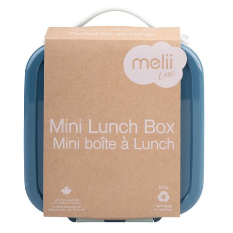 Mini Lunch Box