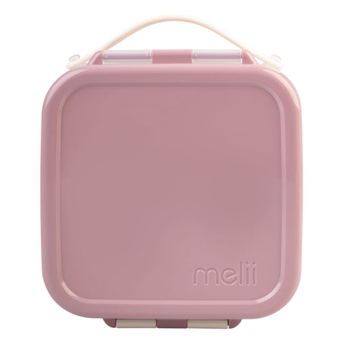 Mini Lunch Box