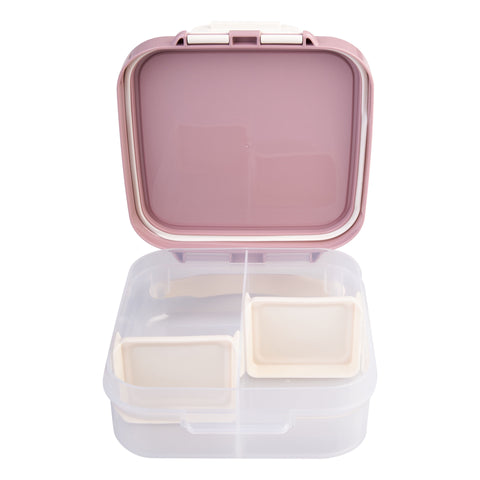 Mini Lunch Box