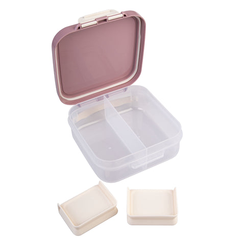 Mini Lunch Box