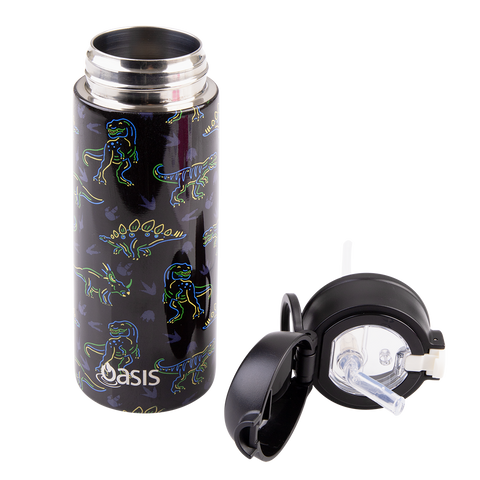 Stainless Steel Double Wall Insulated Kid's Drink Bottle W/ Sipper Straw 550ml