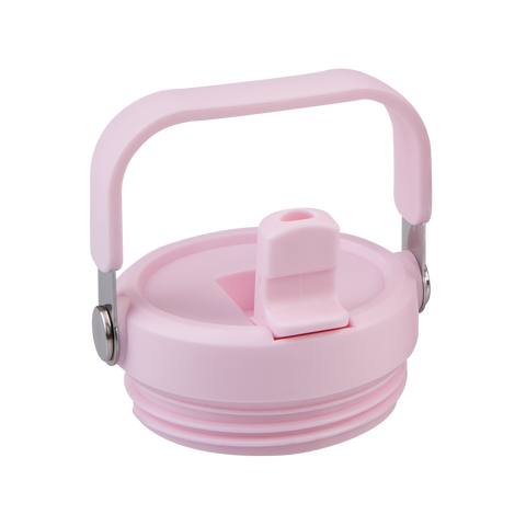 Stainless Steel Double Wall Insulated 'Voyager' Carry Tumbler 900ml