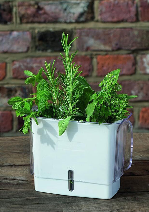 Herb Keeper