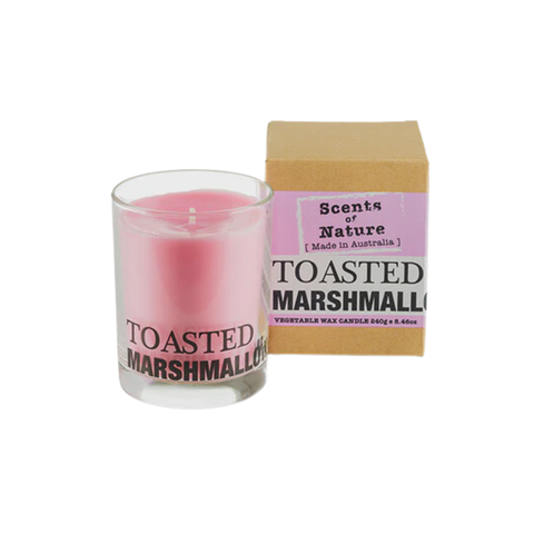 Soy Candle 240G