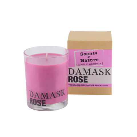 Soy Candle 240G