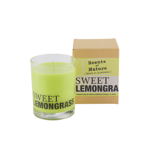 Soy Candle 240G