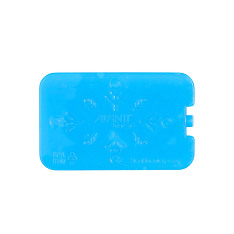 Gel Ice Brick Set of 2