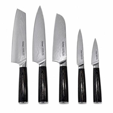 Mori Japanese Damascus 67-Layer Straight Paring Knife 3.5 Inch