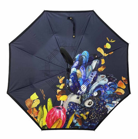 Umbrella & Raincoat