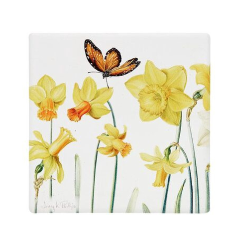 Jenny Phillips Ceramic Coasters assorted Colour