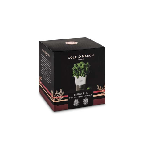 Self Watering Herb Keeper - Single