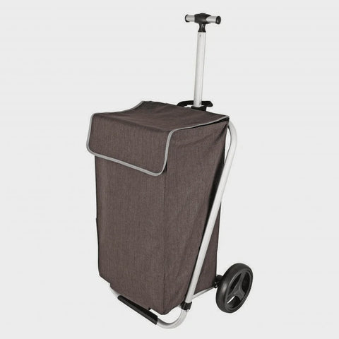 Telescopic Handle Shopping Trolley
