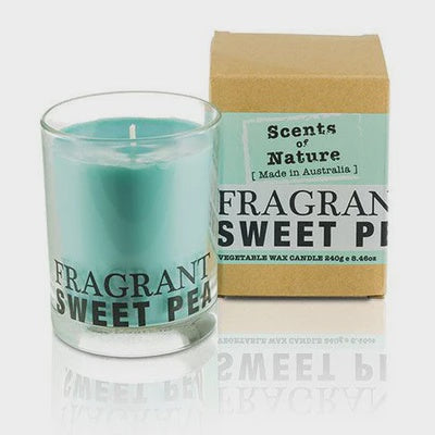 Soy Candle 240G