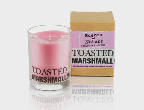 Soy Candle 240G