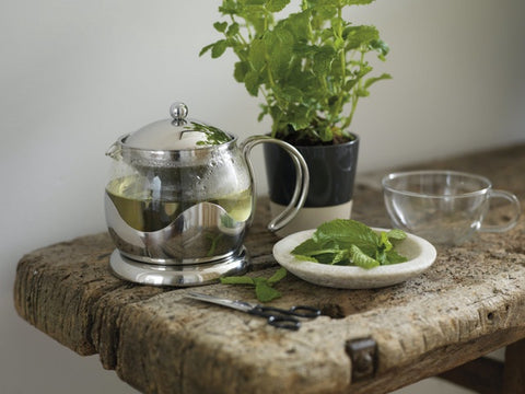 Izmir Glass Filter Teapot w/Metal Frame w/2 Cup 660ml