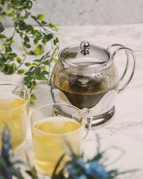 Izmir Glass Filter Teapot w/Metal Frame w/2 Cup 660ml
