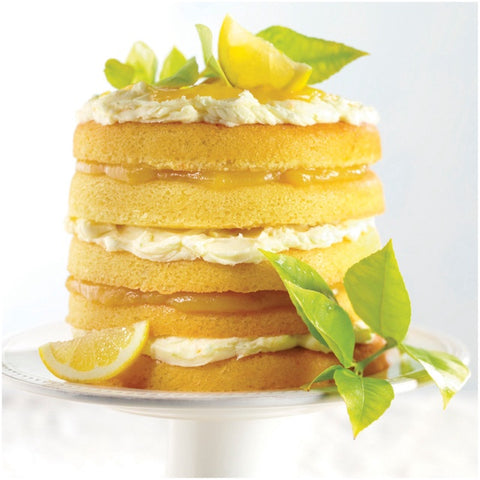 6 inch 4 Layer Cake Pan